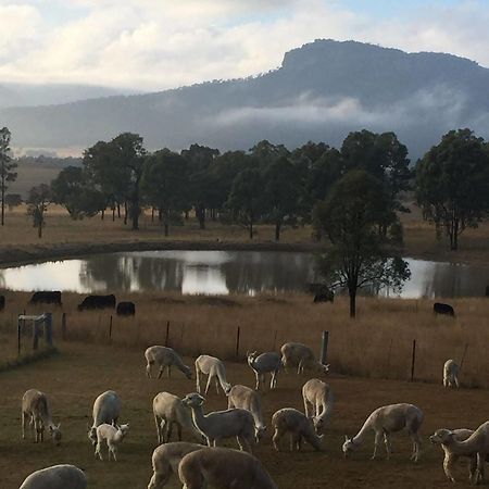 Starline Alpacas Farmstay Resort Broke Luaran gambar