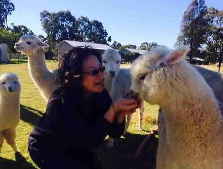 Starline Alpacas Farmstay Resort Broke Luaran gambar